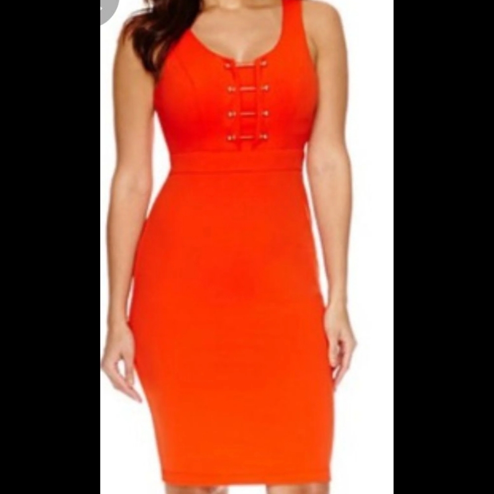 Bisou Bisou Bodycon Dress